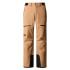 Pantalons de Ski y snow The North Face Chakal Beige Homme