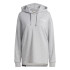 Mountain Sweatshirt adidas Tx Logo Hoody Femmes