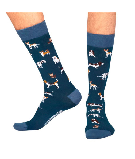 Chaussettes Jimmy Lion Dogs Bleu foncé