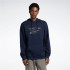 Sweat Reebok Identity Modern Camo Oth Homme