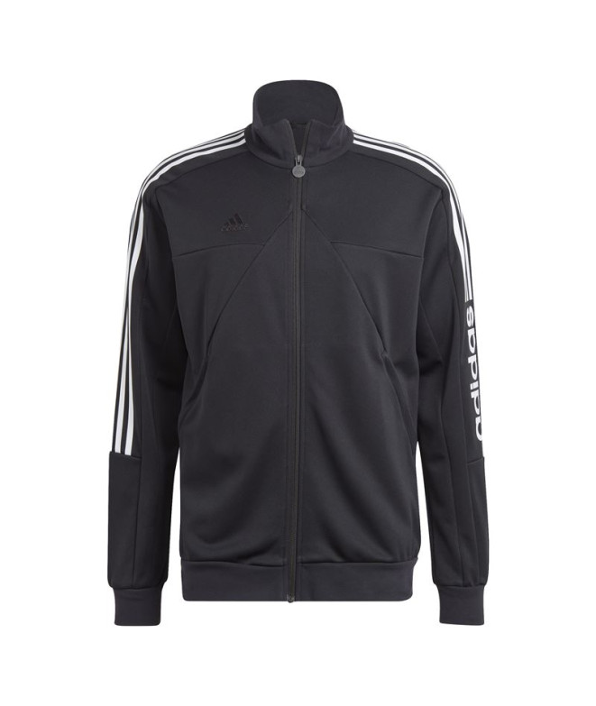 Veste adidas Tyre Wm Tt Homme