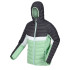 Veste de Montagne Regatta Harrock II QuiGrn/SlGry Femme