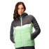 Veste de Montagne Regatta Harrock II QuiGrn/SlGry Femme