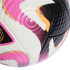 Ballons de Football adidas Cnxt24 Pro Homme White