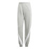 Survêtement adidas Laziday Ts Femme Brgrin