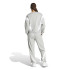 Survêtement adidas Laziday Ts Femme Brgrin
