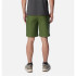 Pantalons Montagne Homme de Columbia Flex Roc™ Utility Green