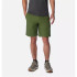 Pantalons Montagne Homme de Columbia Flex Roc™ Utility Green