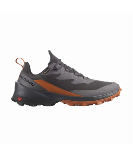 Chaussures de Montagne Salomon Cross Over 2 Gore...