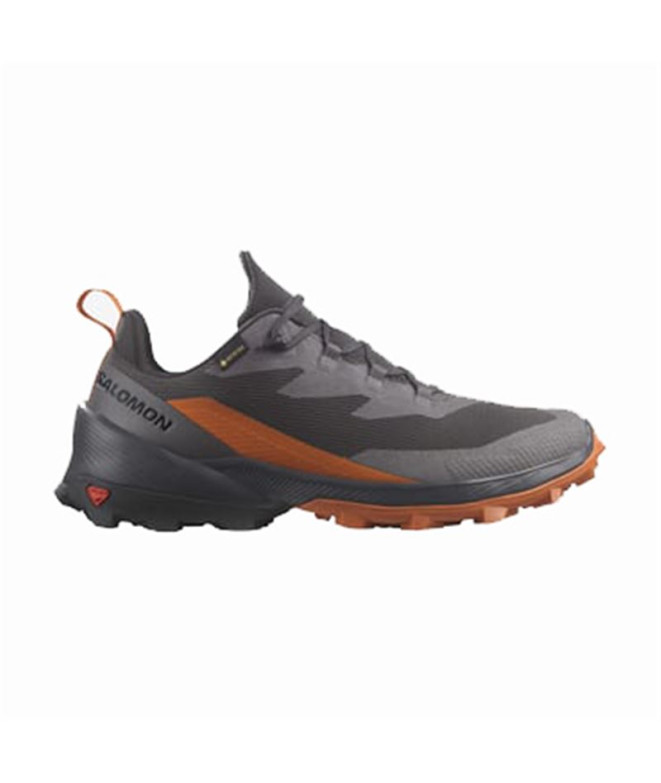 Chaussures de Montagne Salomon Cross Over 2...