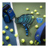 Raquette à partir de Tennis Head Novak 23