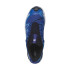 Chaussures de Trail Salomon XA Pro 3D V9 Bleu Homme