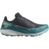 Chaussures de Trail Salomon Thundercross Gris/Bleu Homme