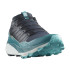 Chaussures de Trail Salomon Thundercross Gris/Bleu Homme