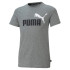 T-shirt Enfant Puma Essentials+ 2 Couleur Gris