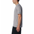 T-shirt de Trail Columbia Kwick Hike™ Graphic Homme Grey
