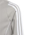 Veste à partir de Football adidas Tiro24 Enfant Grey