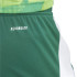 Pantalons de Football adidas Tiro24 Homme Vert
