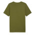 T-shirt Homme Puma Essentials+ 2 Couleur Vert