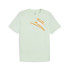 T-shirt Puma Essentials+ AB Summer Green Homme