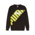 Sweat Homme Puma POWER Graphic Noir