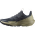Chaussures de Montagne Salomon Elixir Activ Carbon/Brown Homme