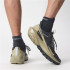 Chaussures de Montagne Salomon Elixir Activ Carbon/Brown Homme