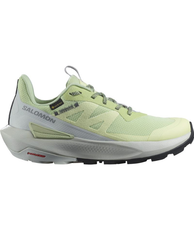 Chaussures de Montagne Salomon Elixir Activ...