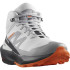 Chaussures de Montagne Salomon Elixir Activ Mid GORE-TEX® Grey Homme