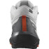 Chaussures de Montagne Salomon Elixir Activ Mid GORE-TEX® Grey Homme