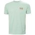 T-shirt par montagne Helly Hansen Skog Recyclé Graphi Homme Vert