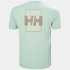 T-shirt par montagne Helly Hansen Skog Recyclé Graphi Homme Vert