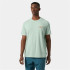 T-shirt par montagne Helly Hansen Skog Recyclé Graphi Homme Vert
