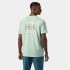 T-shirt par montagne Helly Hansen Skog Recyclé Graphi Homme Vert