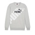 Sweat Puma POWER Graphic C Gris clair Homme