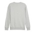 Sweat Puma POWER Graphic C Gris clair Homme