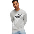 Sweat Puma POWER Graphic C Gris clair Homme