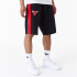 Pantalons New Era Panneau surdimensionné NBA Chicago Bulls Noir Homme