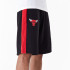 Pantalons New Era Panneau surdimensionné NBA Chicago Bulls Noir Homme