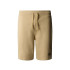 Pantalons de Montagne The North Face Standard Light Homme Beige