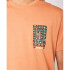 T-shirt Rip Curl Desti Animals Homme Coral