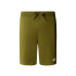 Pantalon The North Face Standard Short Light - Homme Vert