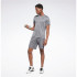 Pantalon Reebok Comm Knit Short Homme Grey