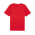 T-shirt Les essentiels Puma + AB Summer For All Time Homme