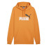 Sweat Homme Puma Essentials+ 2 Col Big Grey