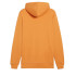 Sweat Homme Puma Essentials+ 2 Col Big Grey