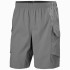 Pantalons par Montagne Helly Hansen Vista Hike Cargo Homme Gris