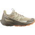Chaussures de Montagne Salomon Elixir Activ Femme Beige