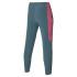 Pantalon Mizuno Charge Imprimé Homme Gris