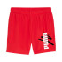 Pantalon Puma Essentials+ AB For All Time Homme